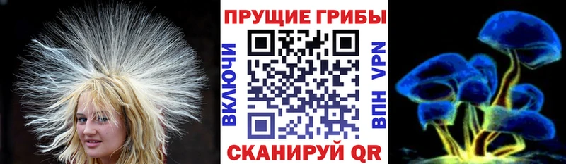 Галлюциногенные грибы мицелий Купить где Ковров